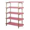 Genesis 57 in. Antique Pink 5-Shelf Contemporary Open Bookcase by Furniture of America