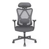 Indrie Black Fabric Ergonomic Swivel Office Chair by Furniture of America
