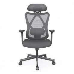 Indrie Black Fabric Ergonomic Swivel Office Chair by Furniture of America