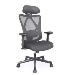 Indrie Black Fabric Ergonomic Swivel Office Chair by Furniture of America -Furniture of America Sales Store black furniture of america ergonomic chairs idf 6031 bk 66 1000