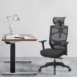 Caius Regular Black Breathable Mesh Ergonomic Office Chair with Adjustable Lumbar by Furniture of America -Furniture of America Sales Store black furniture of america ergonomic chairs idf 60393 31 1000