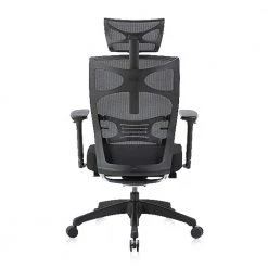 Caius Regular Black Breathable Mesh Ergonomic Office Chair with Adjustable Lumbar by Furniture of America -Furniture of America Sales Store black furniture of america ergonomic chairs idf 60393 44 1000