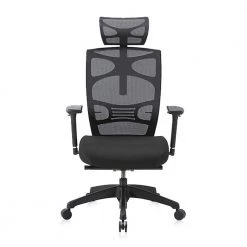 Caius Regular Black Breathable Mesh Ergonomic Office Chair with Adjustable Lumbar by Furniture of America -Furniture of America Sales Store black furniture of america ergonomic chairs idf 60393 4f 1000