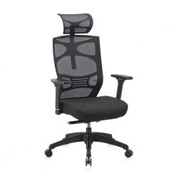 Caius Regular Black Breathable Mesh Ergonomic Office Chair with Adjustable Lumbar by Furniture of America