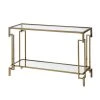 Elrod 43.25 in. Champagne Rectangle Glass Console Table by Furniture of America