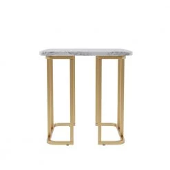 Pasadina 23.63 in. Gold Coating and White Rectangular Faux Marble Top End Table by Furniture of America -Furniture of America Sales Store gold coating and white furniture of america end side tables idf 4564wh e 4f 1000