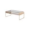Mindry 48 in. Gold Rectangular Glass Top Coffee Table by Furniture of America
