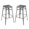 Latta 30 in. Gray Backless Steel Frame Bar Stool (Set of 2) by Furniture of America