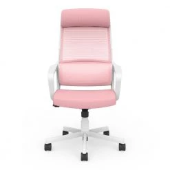 Elkorn Pink Fabric Ergonomic Swivel Office Chair by Furniture of America -Furniture of America Sales Store pink furniture of america ergonomic chairs idf 6030 pk 31 1000