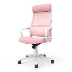 Elkorn Pink Fabric Ergonomic Swivel Office Chair by Furniture of America -Furniture of America Sales Store pink furniture of america ergonomic chairs idf 6030 pk 4f 1000