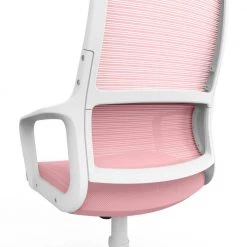 Elkorn Pink Fabric Ergonomic Swivel Office Chair by Furniture of America -Furniture of America Sales Store pink furniture of america ergonomic chairs idf 6030 pk 76 1000