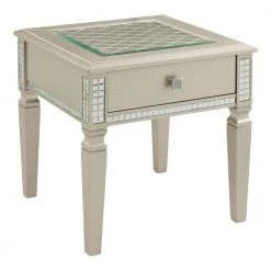 Starra 24 in. Silver Square Glass Top End Table by Furniture of America