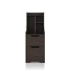 Forstberg 2-Drawer Walnut Nightstand (31.5 in. H x 11.5 in. W x 15.7 in. D) by Furniture of America